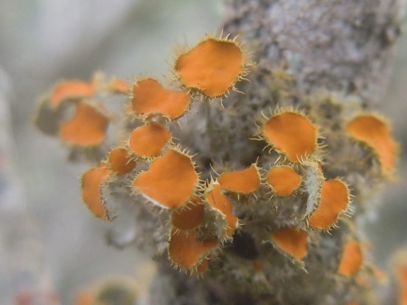 ....da Monte Moro (OT)